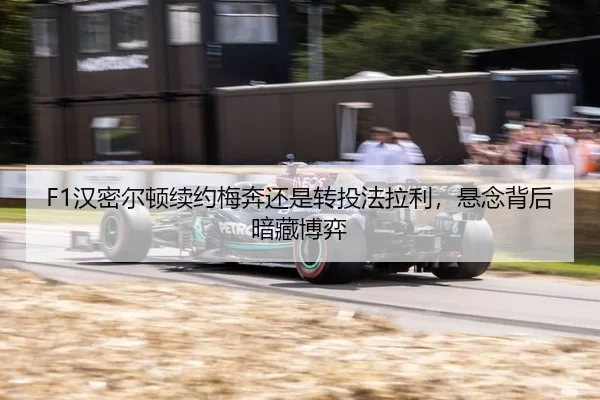han-mi-er-dun-xu-yue-mei-ben-hai-shi-zhuan-tou-fa-la-li-xuan-nian-bei-hou-an-cang-bo-yi-2-408.jpg