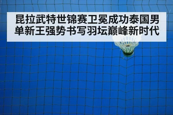 badminton net play